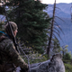 Illustration for article titled Adventure: Backpack Hunting In The High Sierra